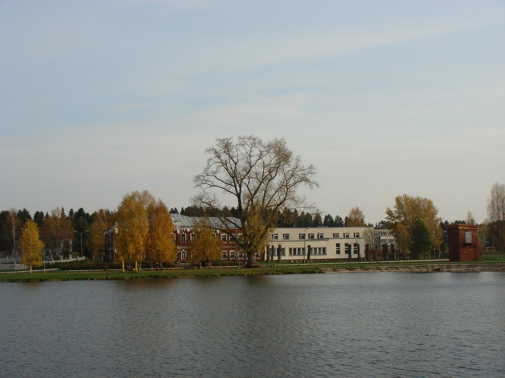 Mitino