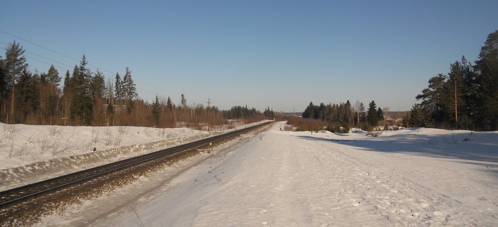 Впереди станция
