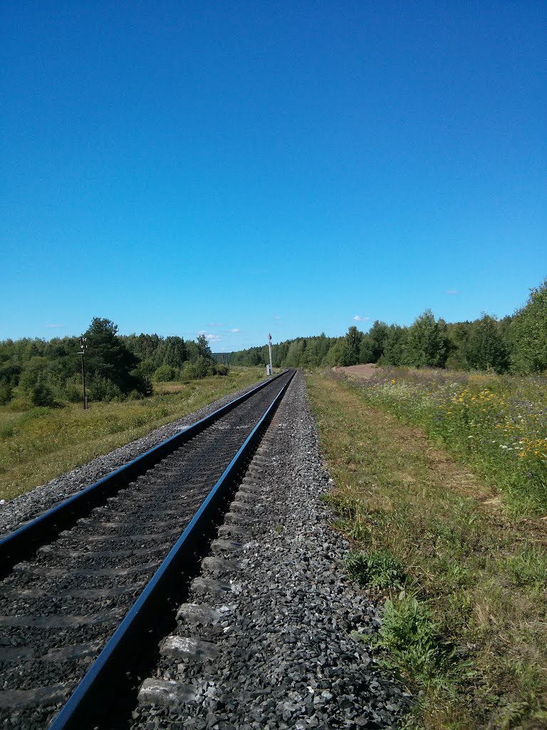Железная дорога уходит из Юрьи