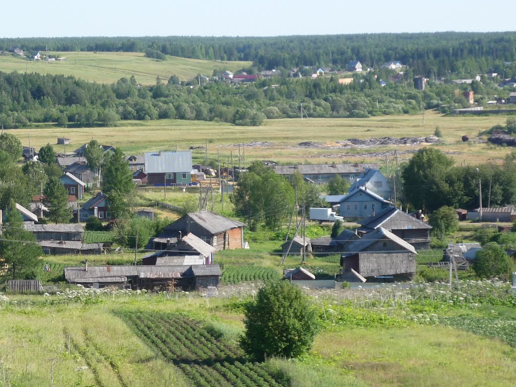 Визинга сверху