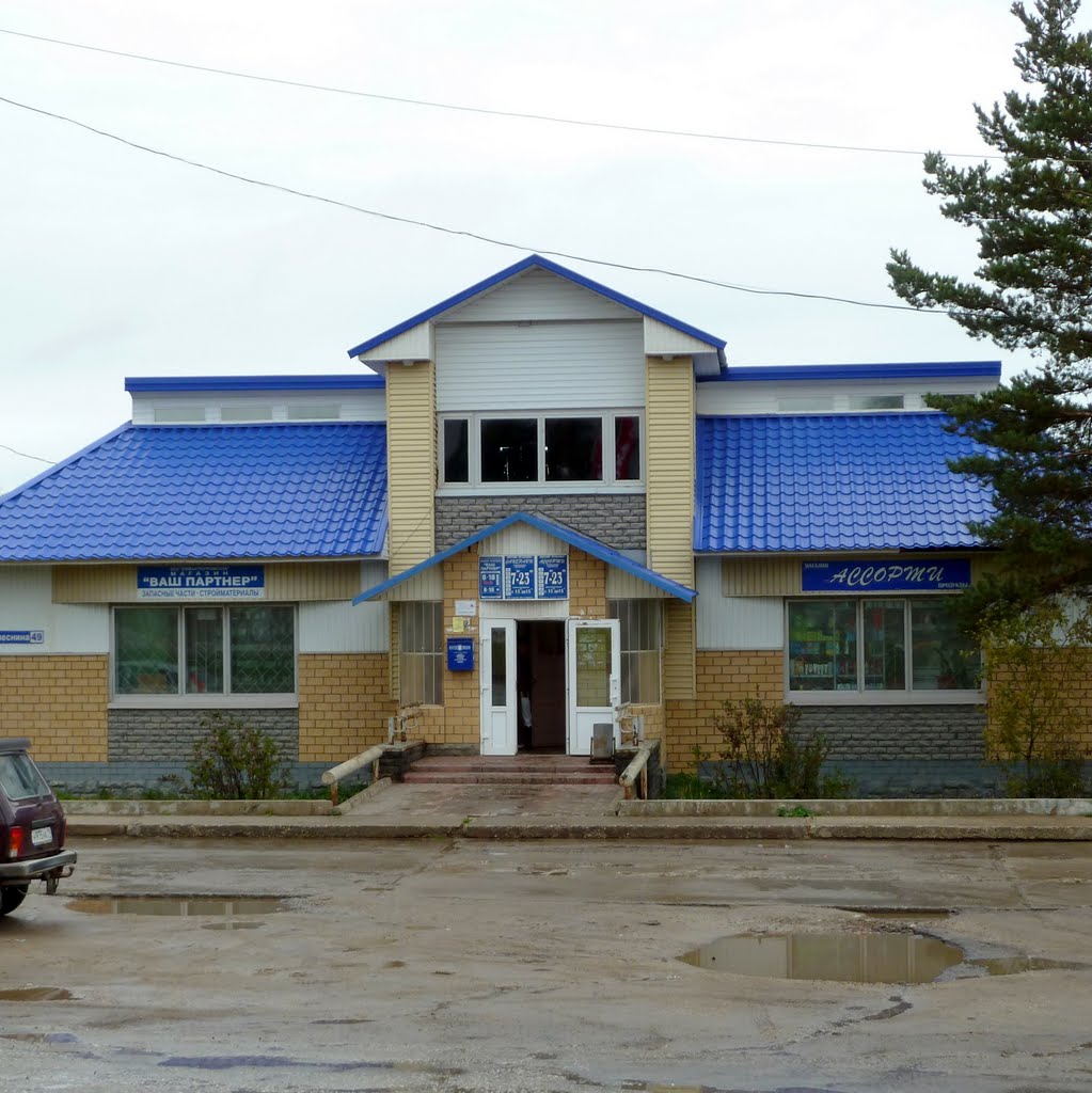 Визинга,магазин, Сысольский район, Республика Коми