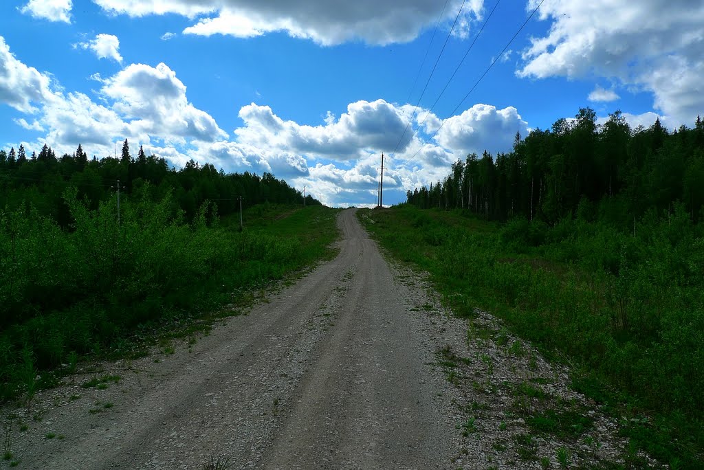 Дорога вдоль газопровода :: Road along a gas pipeline