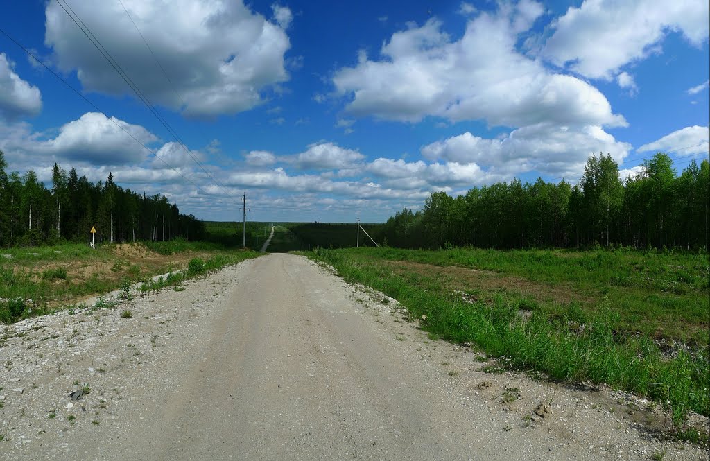 Дорога вдоль газопровода :: Road along a gas pipeline