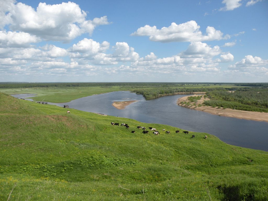 Пастбище