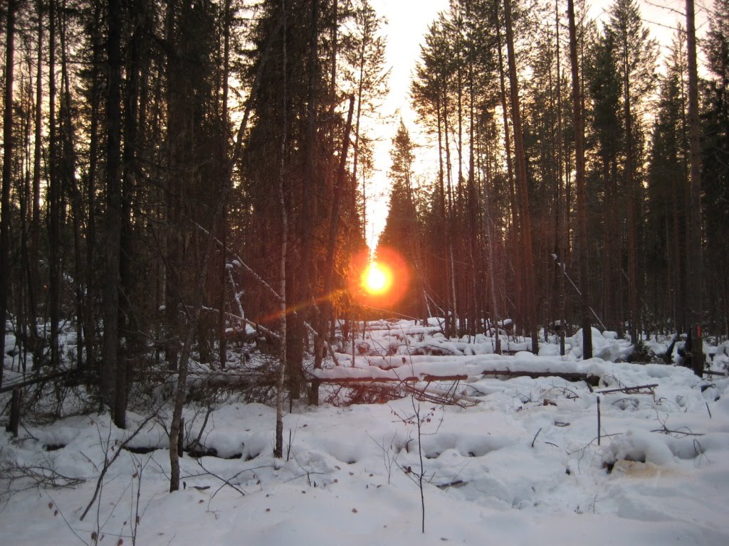 заходящее солнце