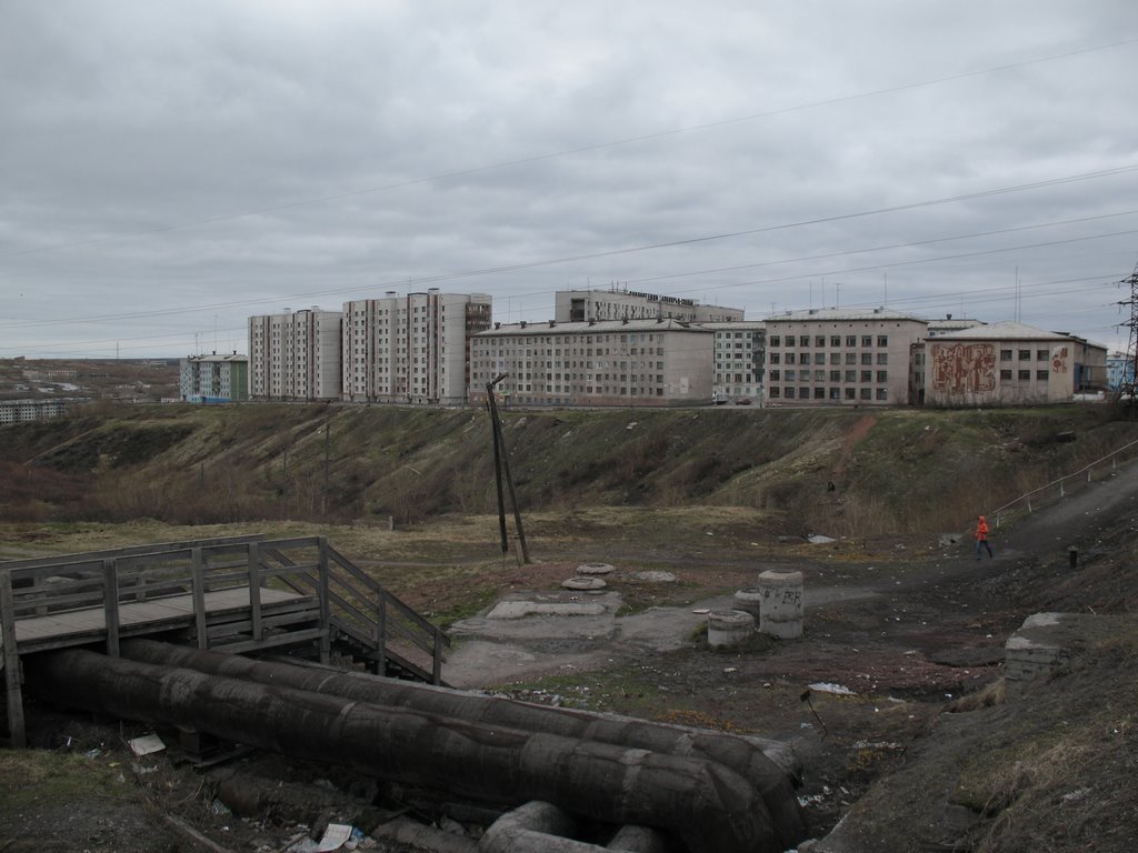 1. Вид с дамбы (Июнь 2008)