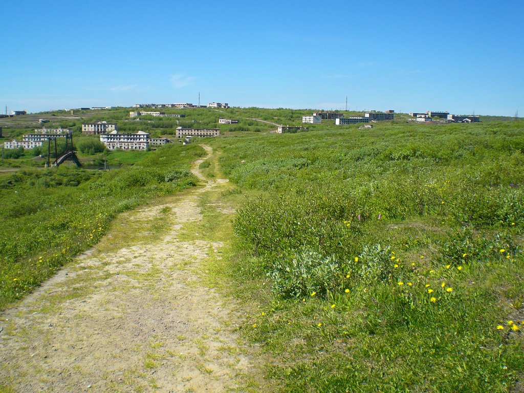 Лето 2008