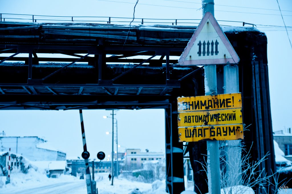 ЖД