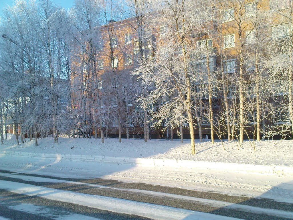 улица Куратова, напротив Дом Быта