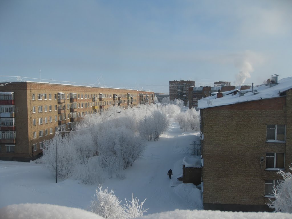школа №8 зимой