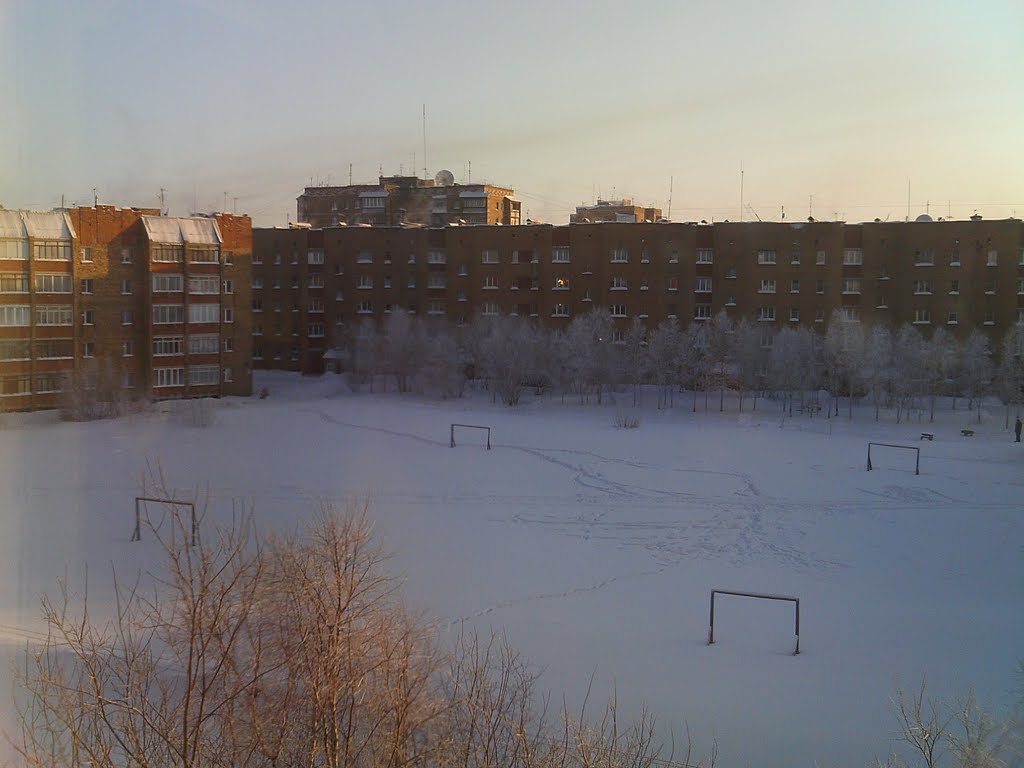 Поле