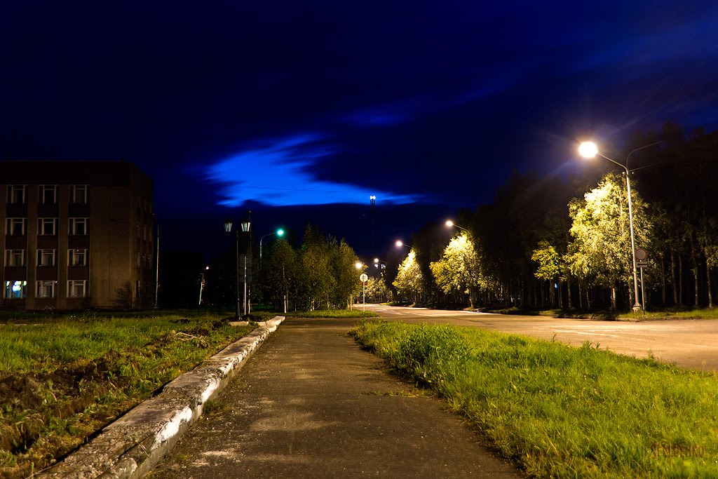 Night road