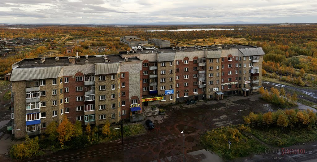 Куратова-41