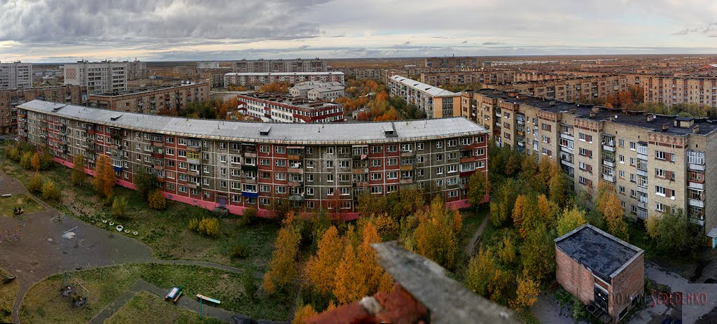 Вид на дворы с крыши д.№48 по ул.Куратова