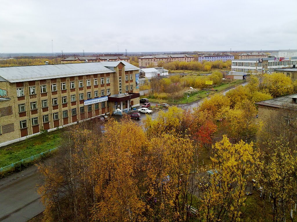 С дома Горького 5