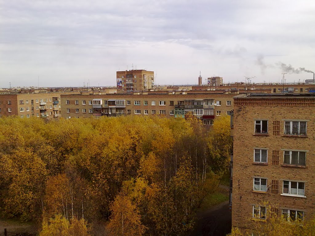С крыши Куратова 14