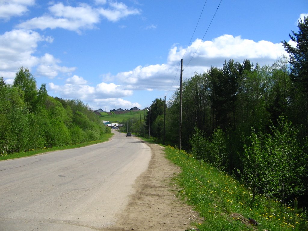 Дорога из п.Койдин в с.Койгородок