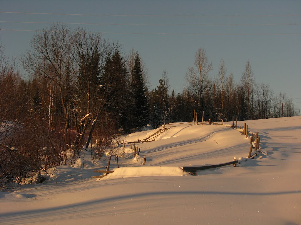 Огороды