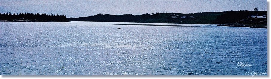 River Mezen in Koslan - July 1981 / Река Мезен в Кослан - Юли 1981 г.