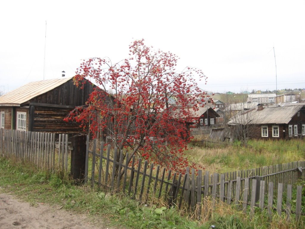 Урожай