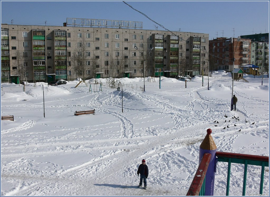 ... 2008г.