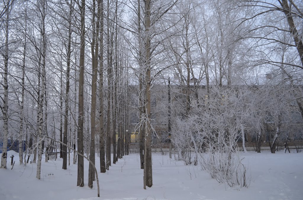 Парк у 83 школы .