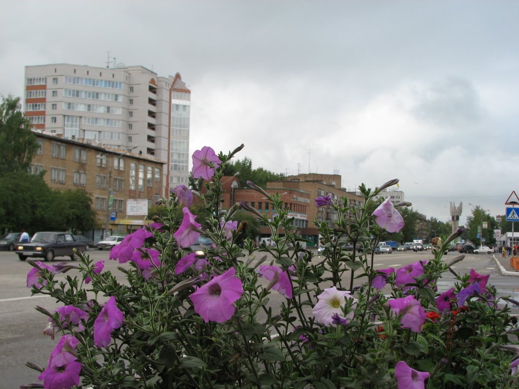 Клумба у пединститута
