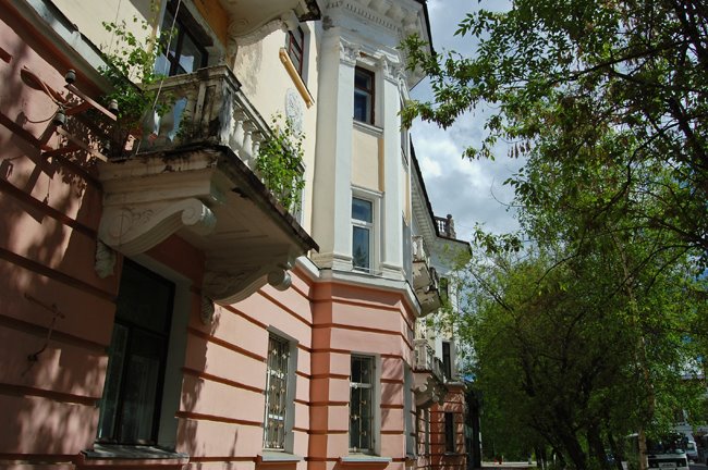 Балконные деревья