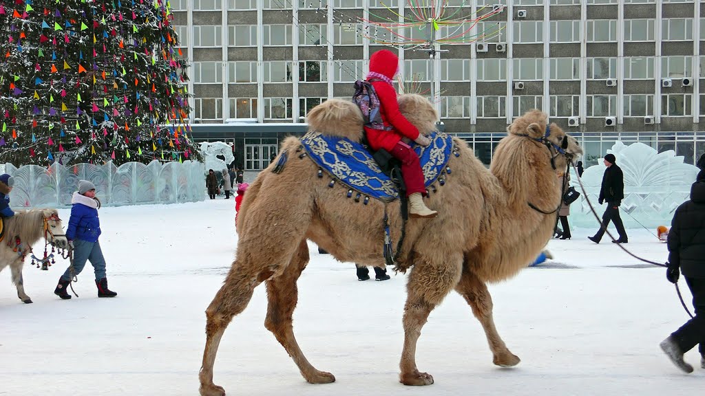 Корабль пустыни    ship of the desert