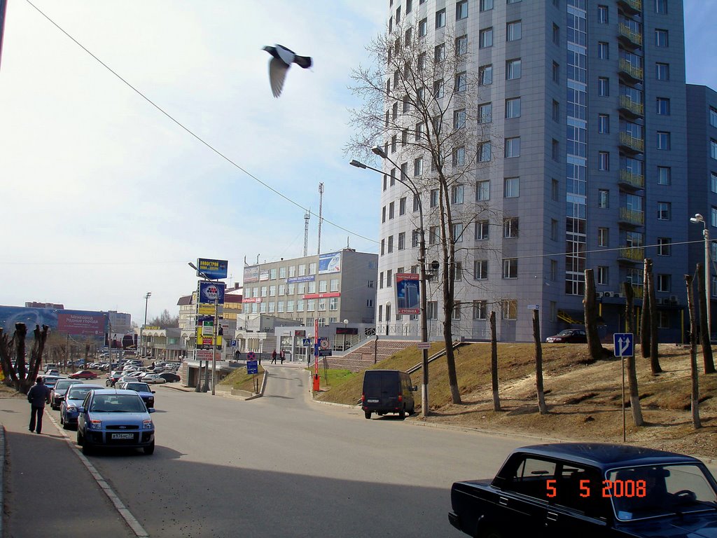 Типография