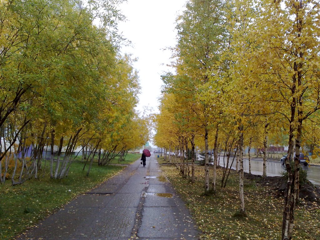 Осень
