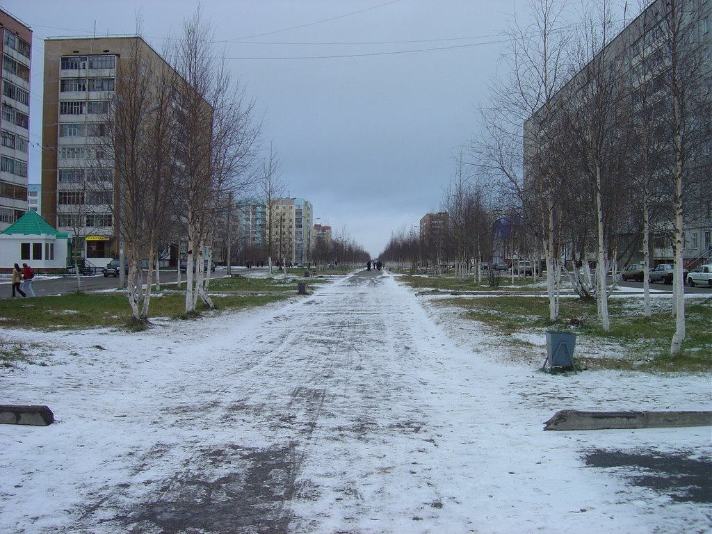 Усинск, Аллея