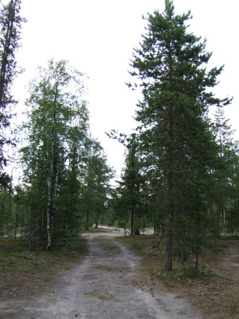Усинск. 2009-07-17