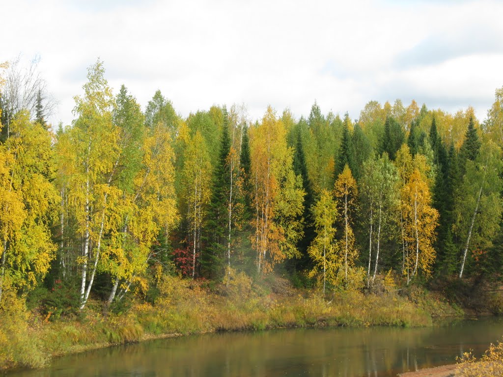 Река "Ус"