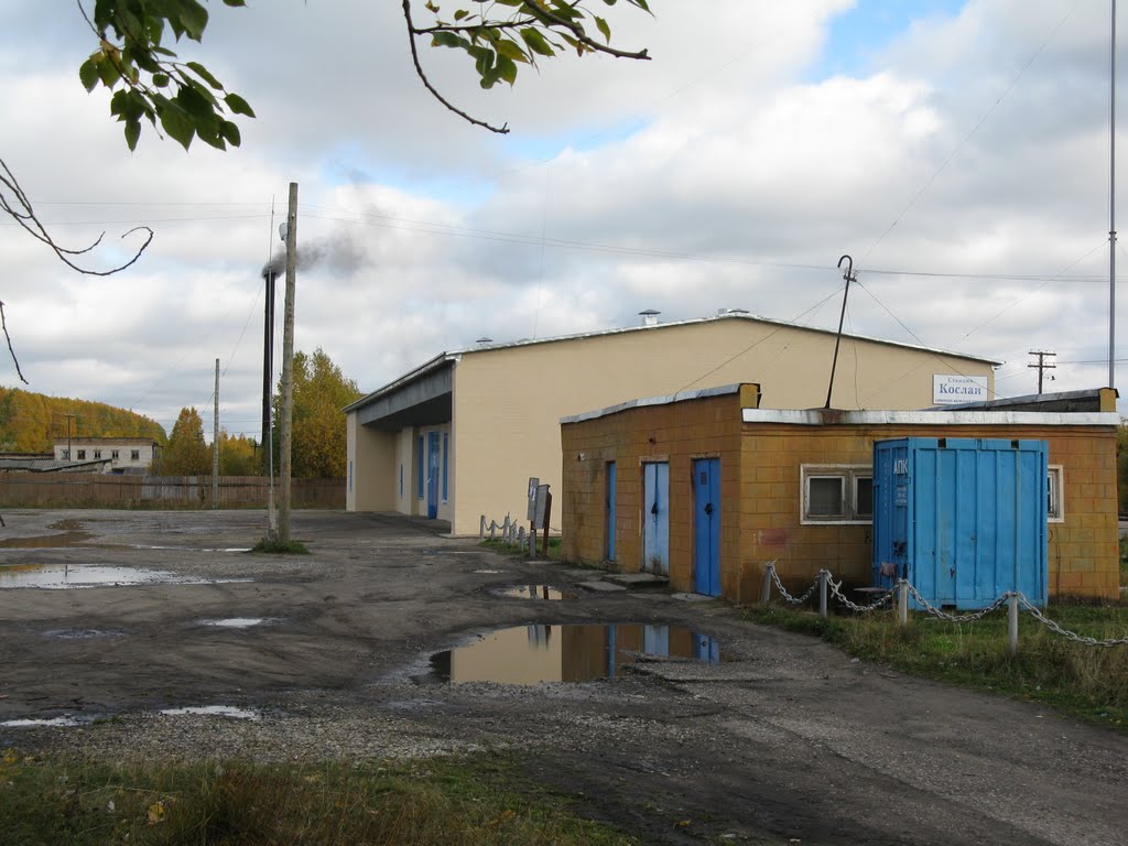 Станция Кослан