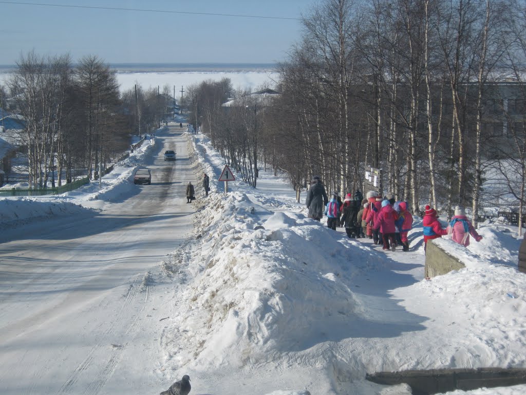 Усть-Цильма