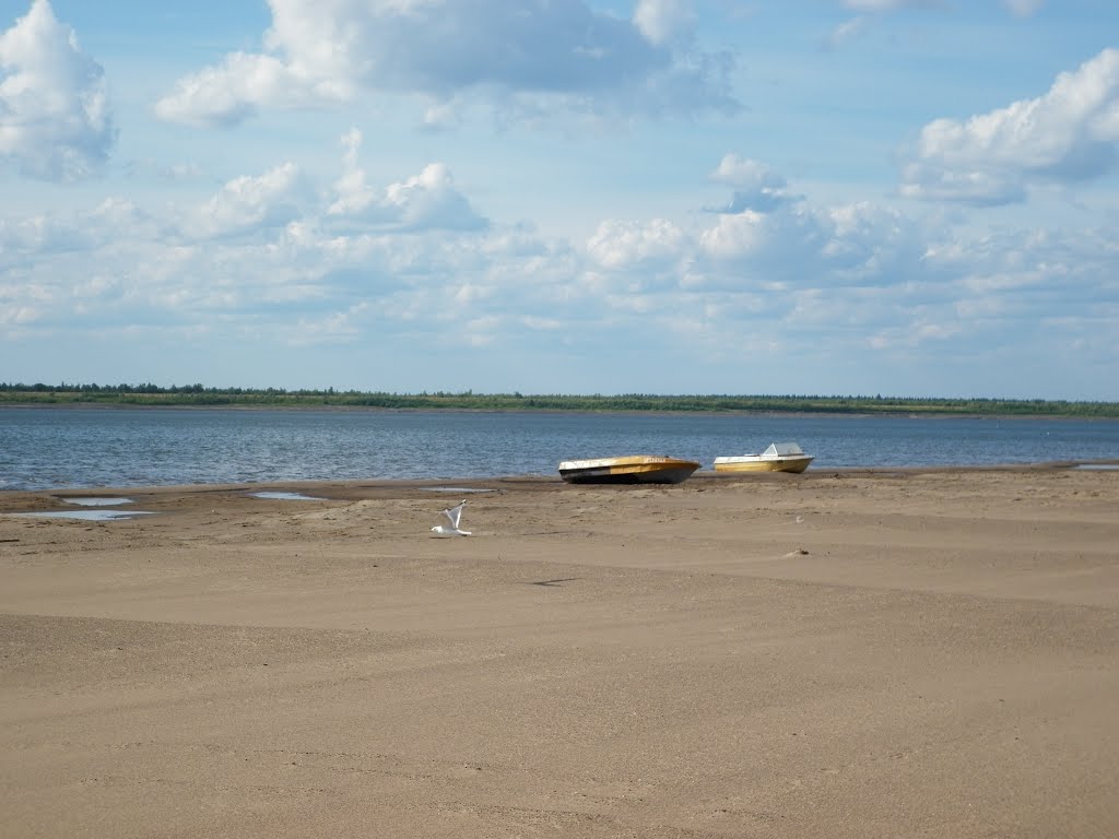 Берег реки Печора