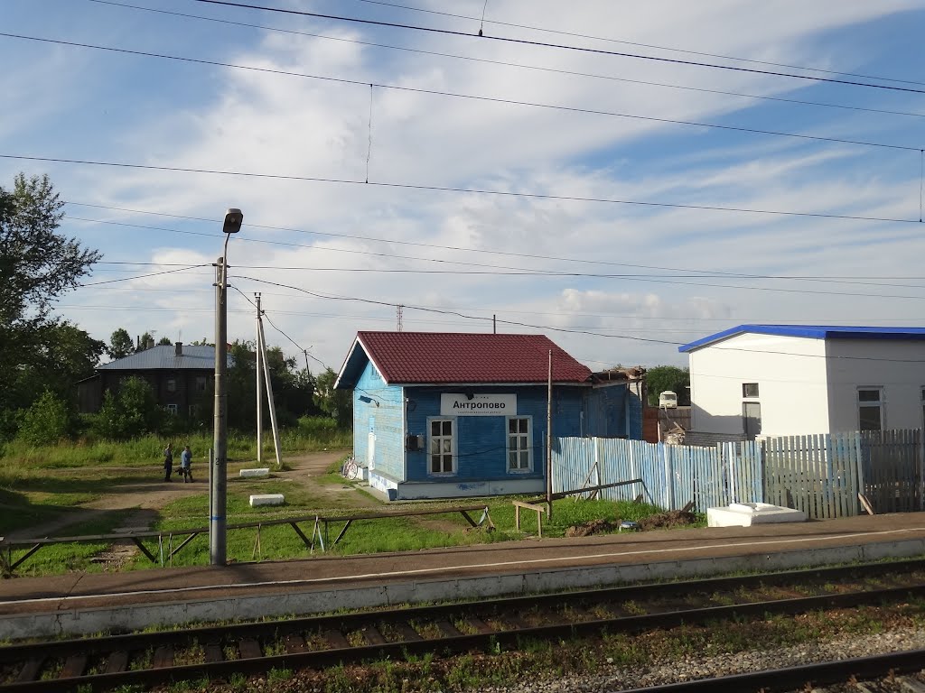 Станция Антропово