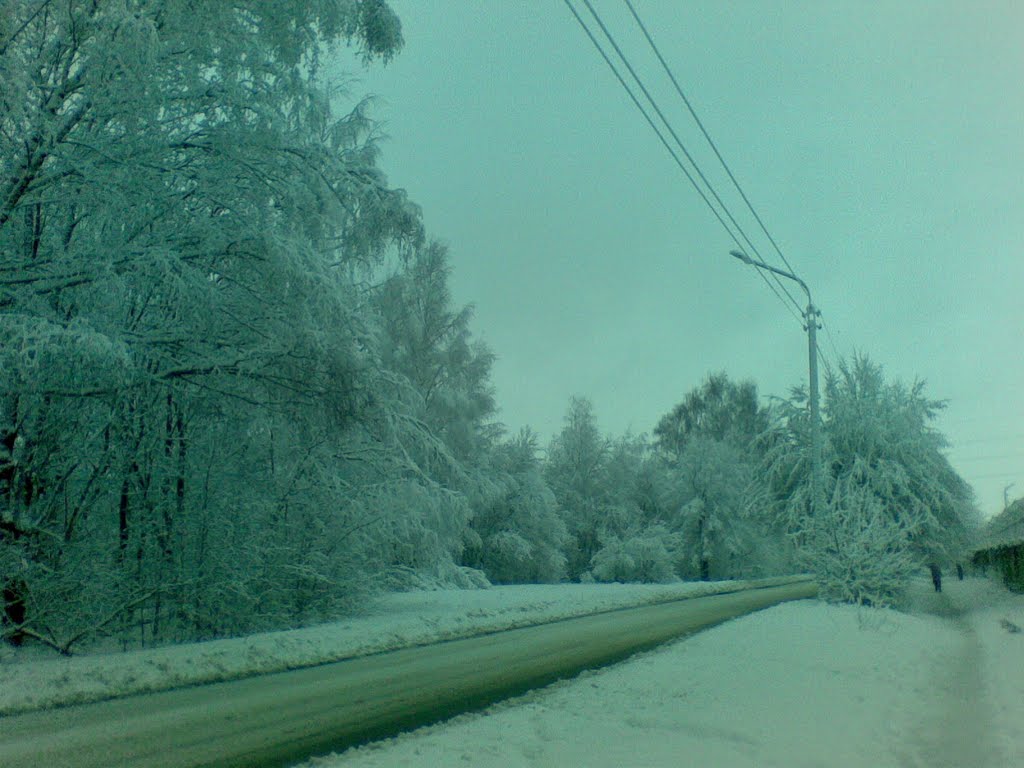 зима в боговарово