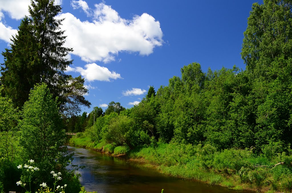 Ирдом у улицы Заречная