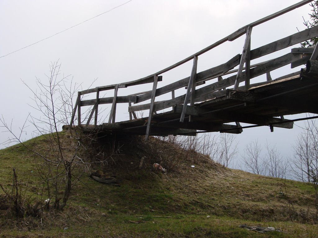 near Bogovarovo
