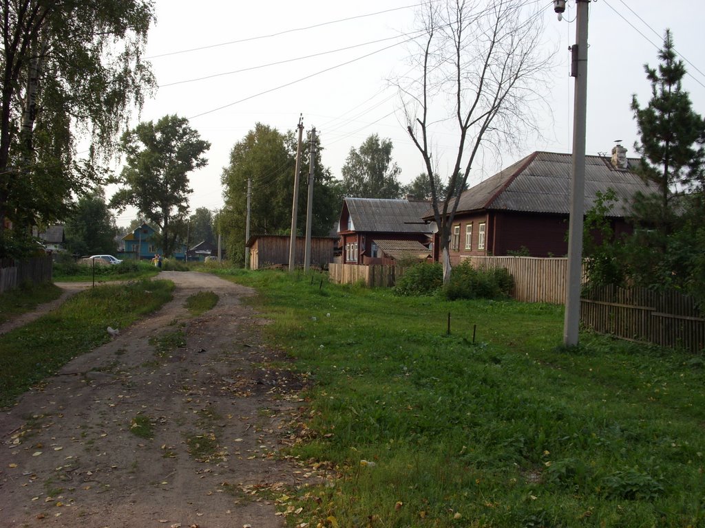 За р.Костромой