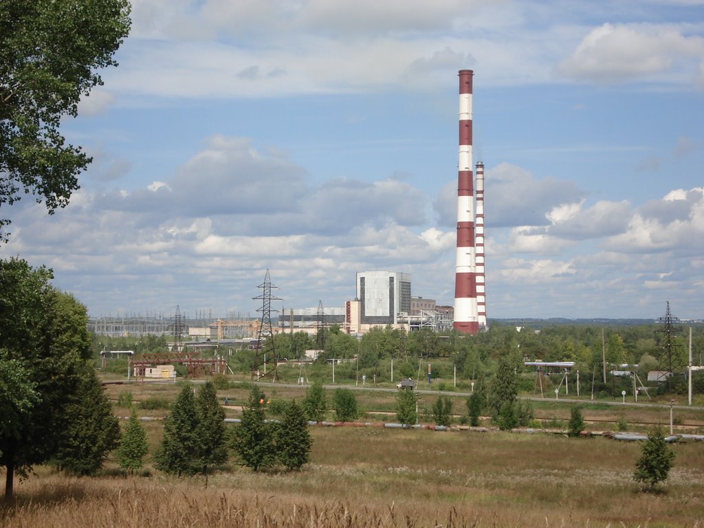 Роща