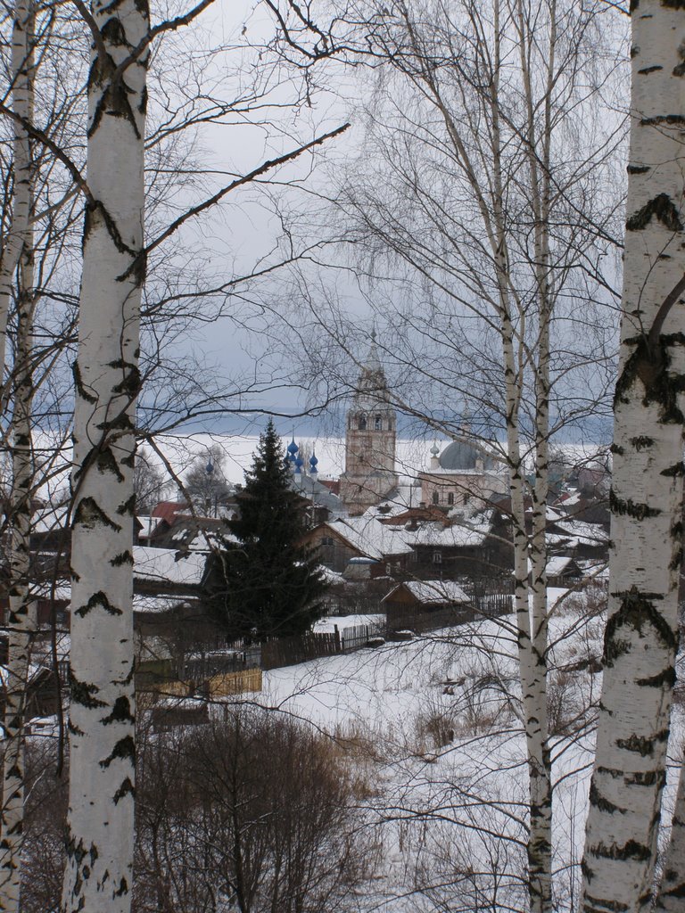 Патриархальный вид