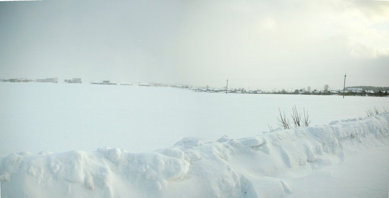 Kologriv, purga
