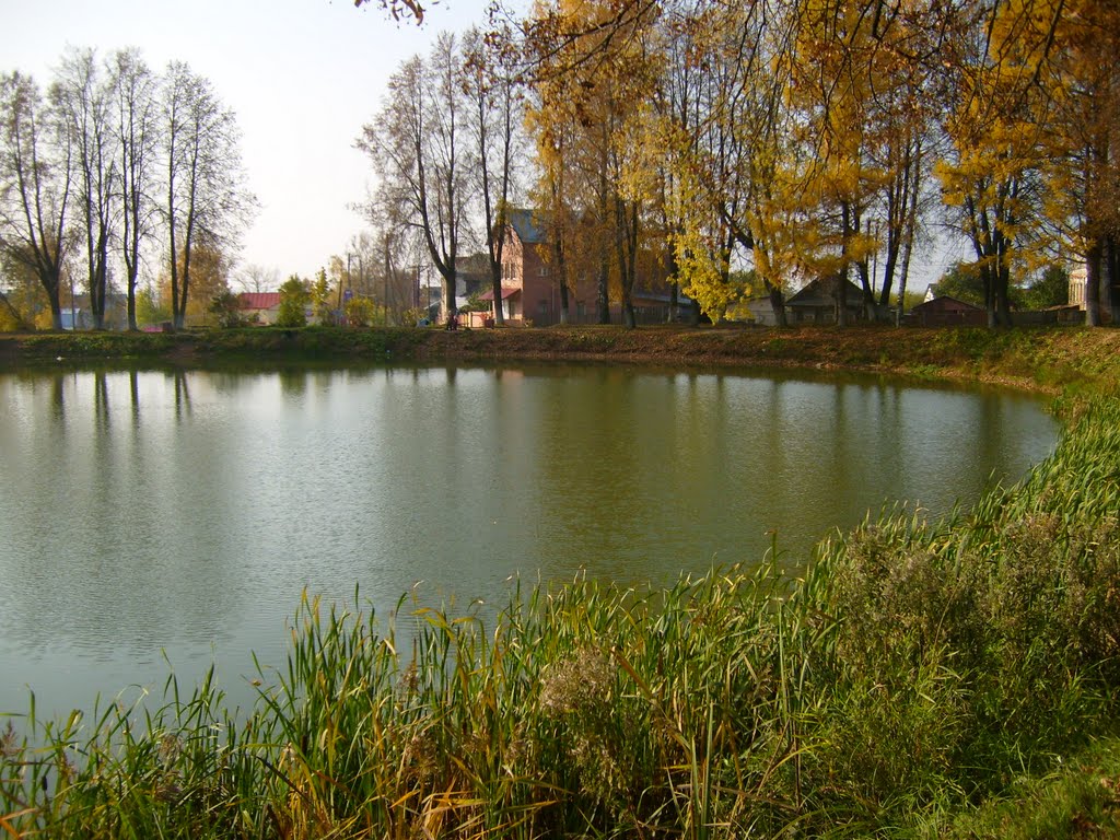 Кострома. Прудик в центре пгт Красное. 8/10/2011г.