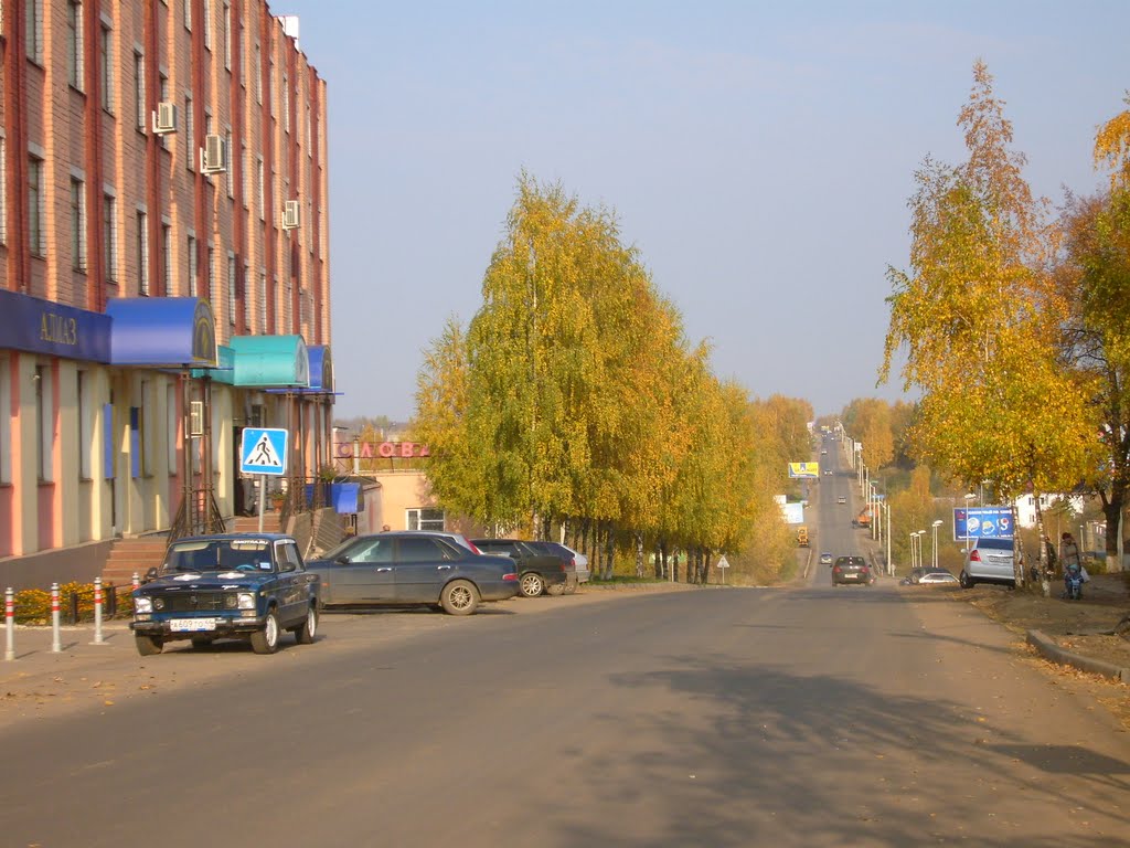 Кострома. Дорога на Кострому из пгт Красное. 8/10/2011г.