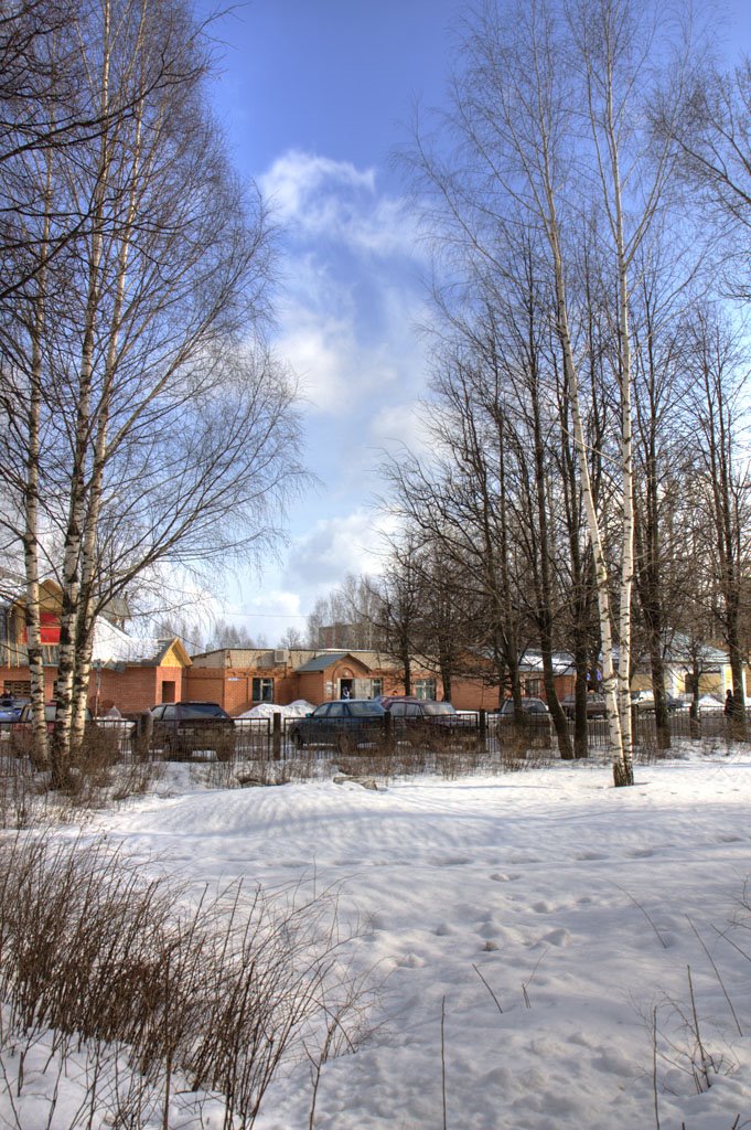 Winter