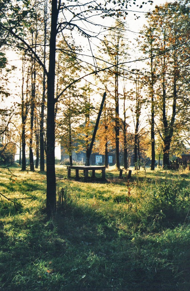 Старый дом