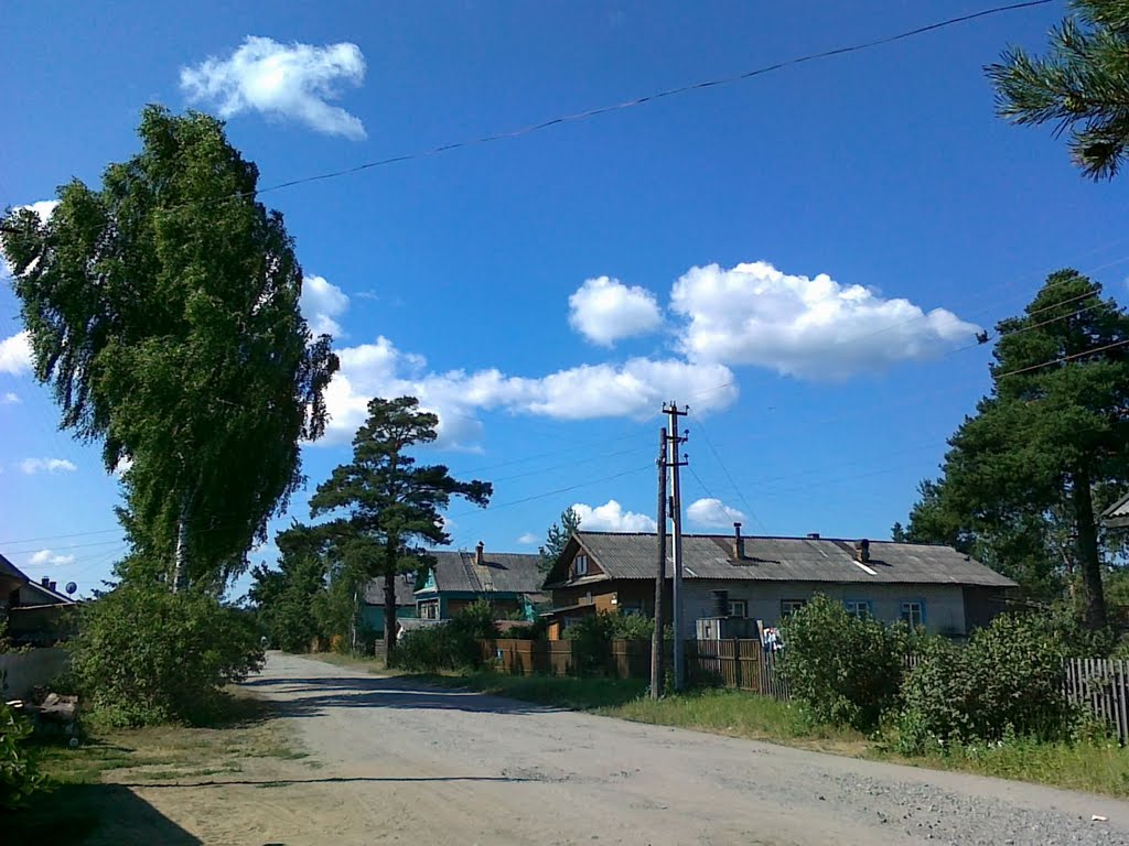 Спортивная
